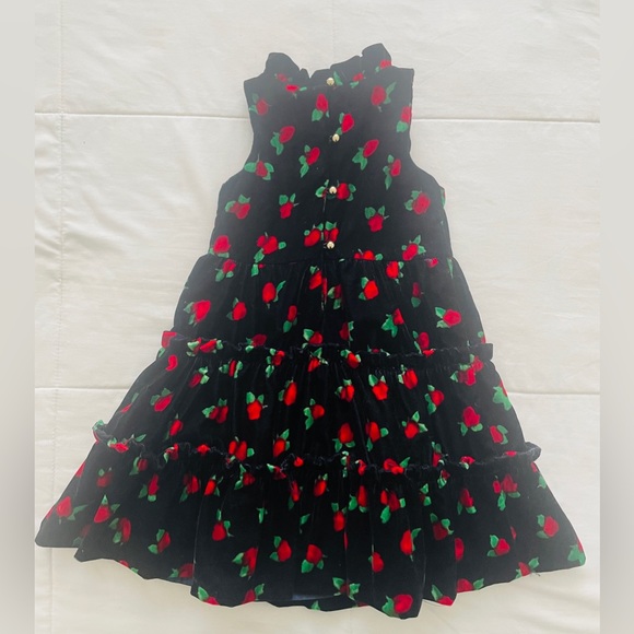 JANIE and JACK Gorgeous Velvet Rose Dress Special Occasion Party Festive Photos - Picture 4 of 4